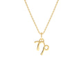 Capricorn Zodiac Charm Necklace in 14K Gold — view 1